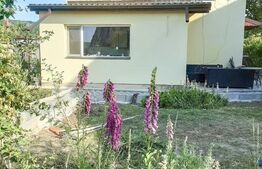 Casa in zona pitoreasca-Traian, COMISION 0% CUMPARATOR