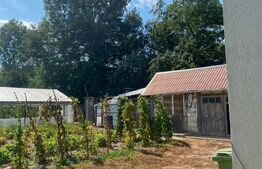 Casa individuala cu 6 camere, in loc.Gheorghe Doja