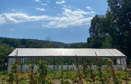 Casa individuala cu 6 camere, in loc.Gheorghe Doja