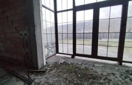 Casa/Vila P+1 Hemeius 107.000 euro