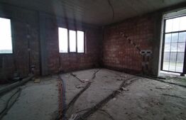 Casa/Vila P+1 Hemeius 107.000 euro