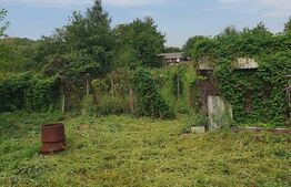 Casa+teren, Racaciuni