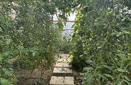 Proprietate Unica - Bacau, zona Izvoare-Comision 0% Cumparator