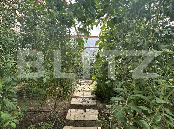 Casa de vânzare 5 camere Izvoare - 158447CV | BLITZ Bacău | Poza9