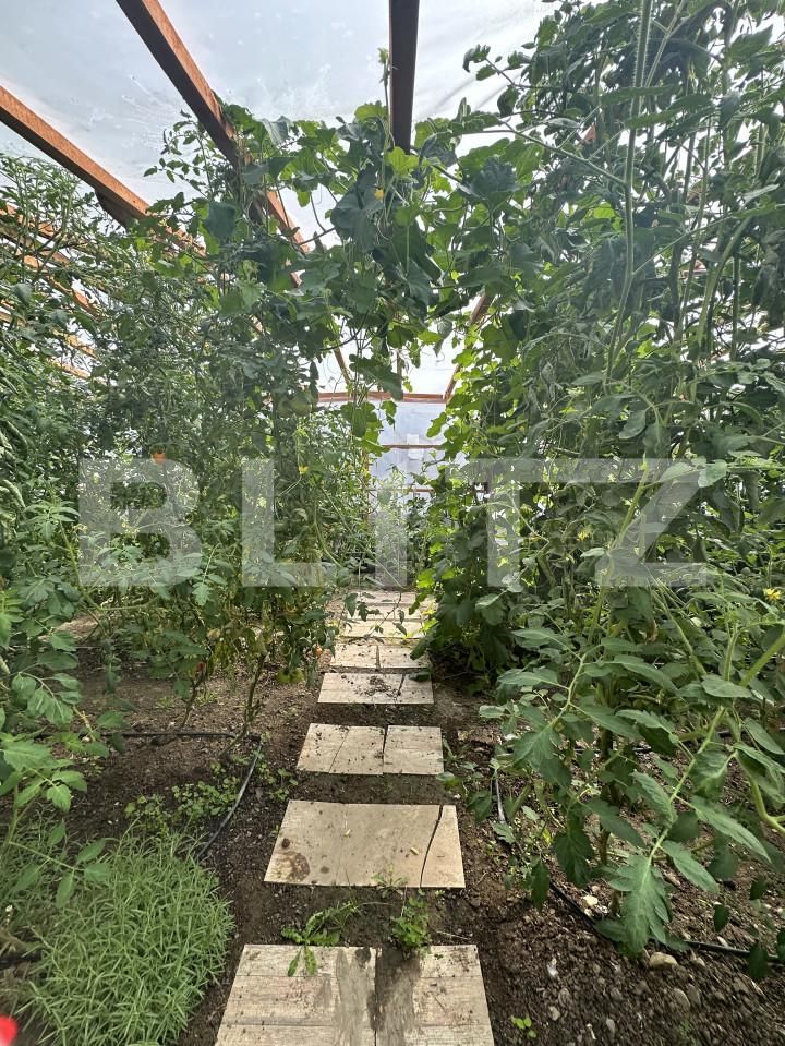 Casa de vânzare 5 camere Izvoare - 158447CV | BLITZ Bacău | Poza9