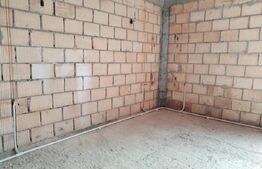 Casa, 6 camere, la rosu, Serbanesti 114.000 euro