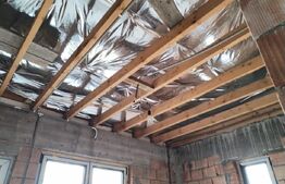 Casa, 6 camere, la rosu, Serbanesti 114.000 euro