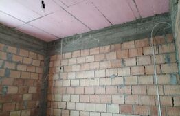 Casa, 6 camere, la rosu, Serbanesti 114.000 euro