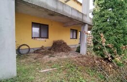 Casa, 6 camere, la rosu, Serbanesti 114.000 euro