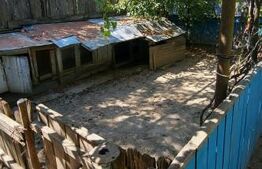 Casă Bătrânească + Teren Generos, Șerbănești