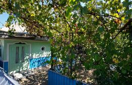 Casă Bătrânească + Teren Generos, Șerbănești