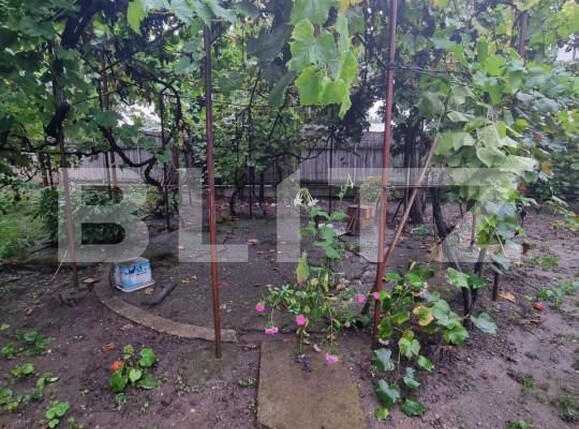 Teren de vânzare Central - 158659TV | BLITZ Bacău | Poza4