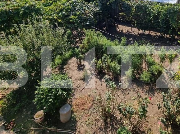 Teren de vânzare Central - 158659TV | BLITZ Bacău | Poza1