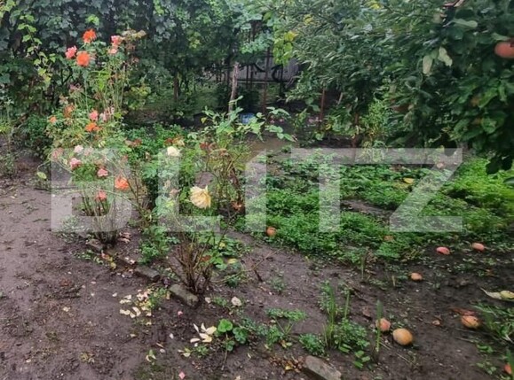 Teren de vânzare Central - 158659TV | BLITZ Bacău | Poza6