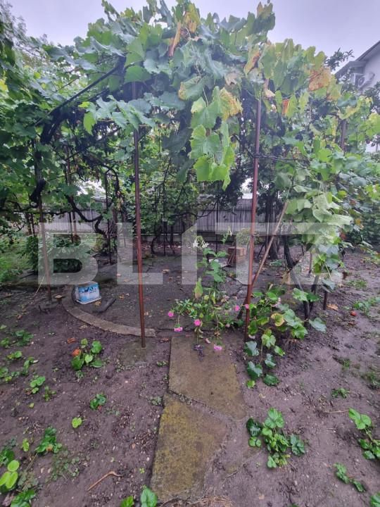 Teren de vânzare Central - 158659TV | BLITZ Bacău | Poza4