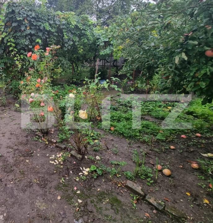 Teren de vânzare Central - 158659TV | BLITZ Bacău | Poza6