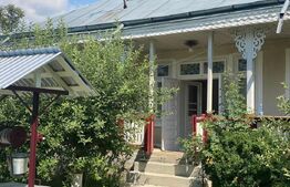 Proprietate în Natură Ideală pentru Agroturism, 105 mp, zona-exterior nord