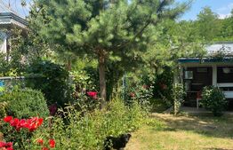 Proprietate în Natură Ideală pentru Agroturism, 105 mp, zona-exterior nord