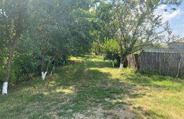 Proprietate în Natură Ideală pentru Agroturism, 105 mp, zona-exterior nord