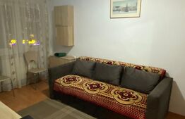 Garsonieră, 22 mp, zona Milcov