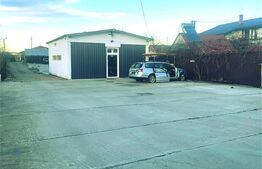 Casa cu 4 camere + casa oaspeti + spatiu comercial + zona hobby - 0 comision