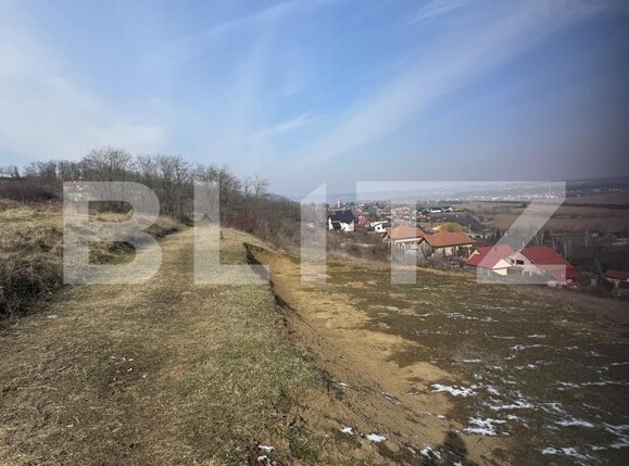 Teren de vânzare Exterior Nord - 166026TV | BLITZ Bacău | Poza4