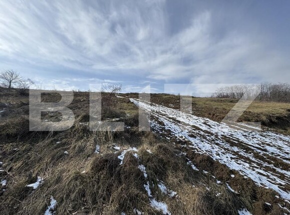 Teren de vânzare Exterior Nord - 166026TV | BLITZ Bacău | Poza2