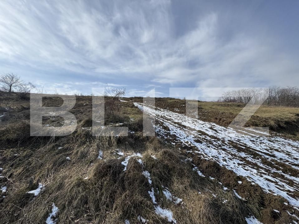 Teren de vânzare Exterior Nord - 166026TV | BLITZ Bacău | Poza2