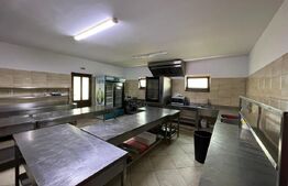 Afacere si proprietate HORECA, 30 min de Bacau