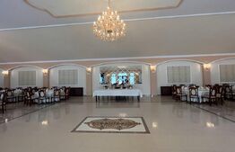Afacere si proprietate HORECA, 30 min de Bacau