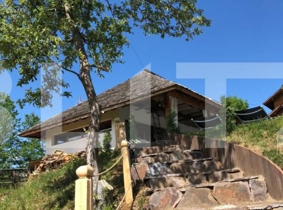 Spațiu comercial de vânzare Budeşti - 137695SVC | BLITZ Baia Mare | Poza7