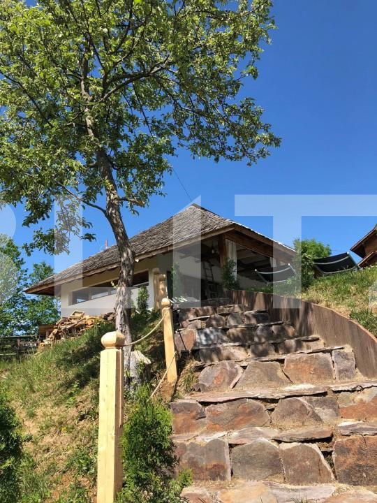 Spațiu comercial de vânzare Budeşti - 137695SVC | BLITZ Baia Mare | Poza7