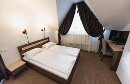 O bijuterie maramureșeană gata să-și întâmpine noii proprietari in Viseul de Jos