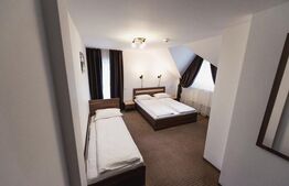 O bijuterie maramureșeană gata să-și întâmpine noii proprietari in Viseul de Jos