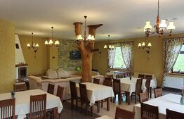 O bijuterie maramureșeană gata să-și întâmpine noii proprietari in Viseul de Jos