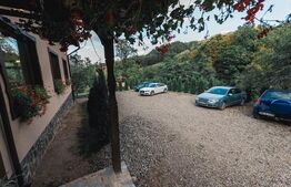 O bijuterie maramureșeană gata să-și întâmpine noii proprietari in Viseul de Jos