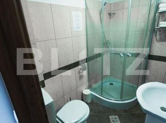 Spațiu comercial de vânzare Viseu de Jos - 164292SVC | BLITZ Baia Mare | Poza5