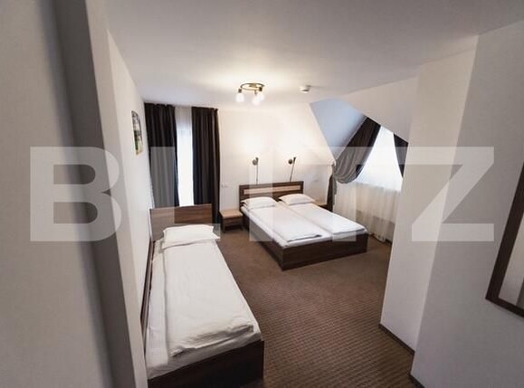 Spațiu comercial de vânzare Viseu de Jos - 164292SVC | BLITZ Baia Mare | Poza19