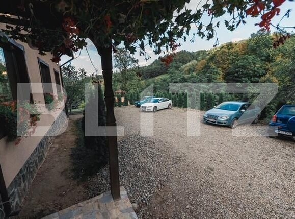 Spațiu comercial de vânzare Viseu de Jos - 164292SVC | BLITZ Baia Mare | Poza12