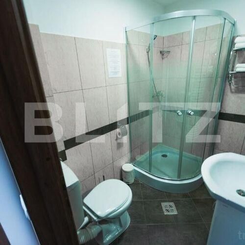 Spațiu comercial de vânzare Viseu de Jos - 164292SVC | BLITZ Baia Mare | Poza18