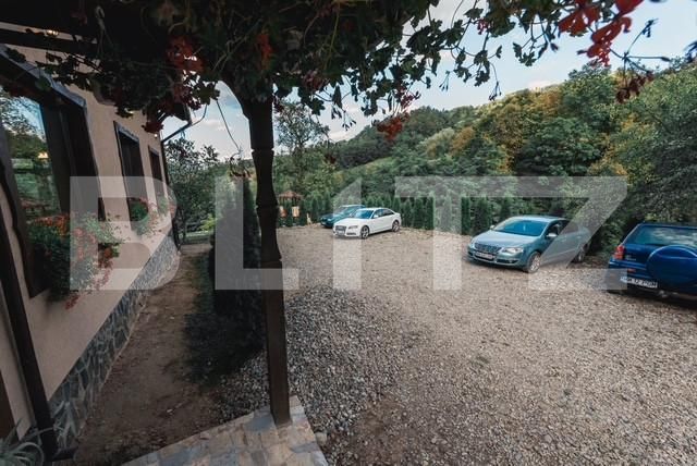 Spațiu comercial de vânzare Viseu de Jos - 164292SVC | BLITZ Baia Mare | Poza12
