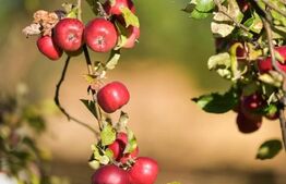 A fost odata ca-n povesti...