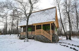 A fost odata ca-n povesti...