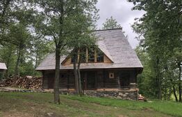 A fost odata ca-n povesti...