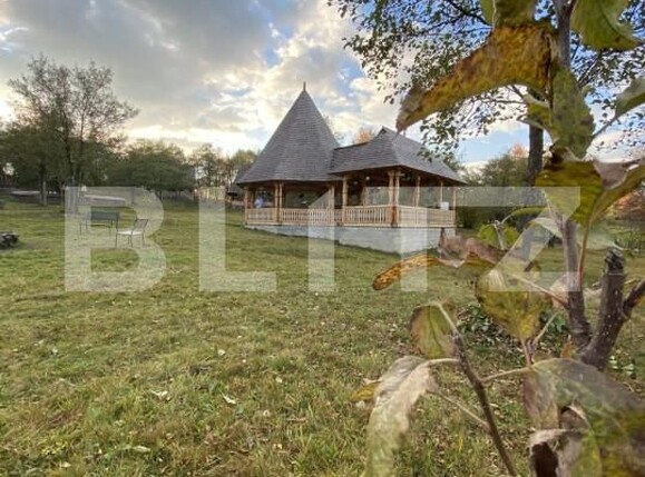 Spațiu comercial de vânzare Breb - 165733SVC | BLITZ Baia Mare | Poza7