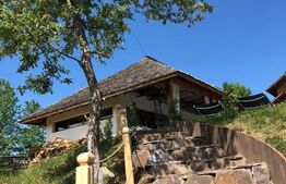 Modern si traditional, pensiune de vanzare, Budesti, 729 mp + 5066 mp