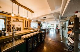 Modern si traditional, pensiune de vanzare, Budesti, 729 mp + 5066 mp