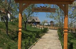 Modern si traditional, pensiune de vanzare, Budesti, 729 mp + 5066 mp