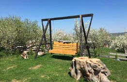 Modern si traditional, pensiune de vanzare, Budesti, 729 mp + 5066 mp