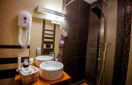 Modern si traditional, pensiune de vanzare, Budesti, 729 mp + 5066 mp